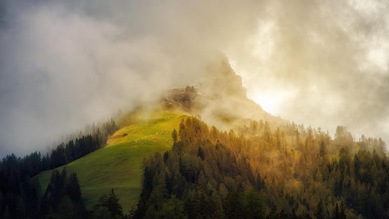 Mountains and Forest